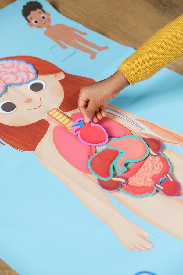 Foto van speelgoed IkLeerOntdekkenHetLichaam_Jumbo_ILearn_HumanBody_Lifestyle (9).jpg